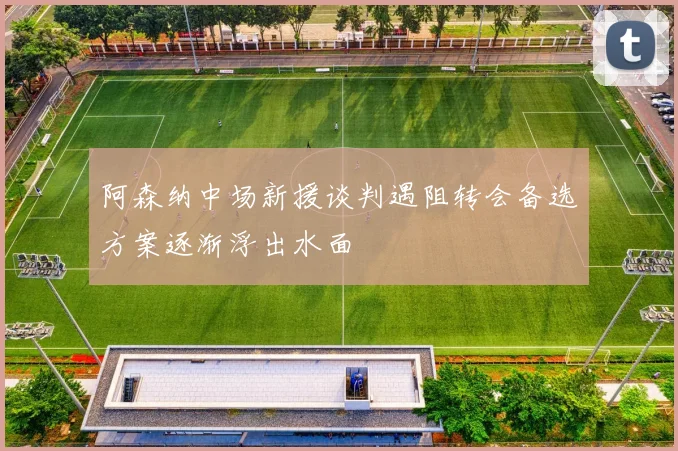 阿森纳中场新援谈判遇阻转会备选方案逐渐浮出水面